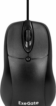 ExeGate Professional Standard B100L фото