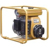 Robin-Subaru PTG 310 ST